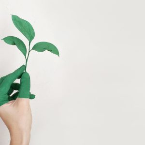 A hand partially painted in green holds a small plant with several leaves against a plain, light background, symbolizing the themes highlighted in Apple's recent Environmental Responsibility Report.