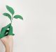 A hand partially painted in green holds a small plant with several leaves against a plain, light background, symbolizing the themes highlighted in Apple's recent Environmental Responsibility Report.