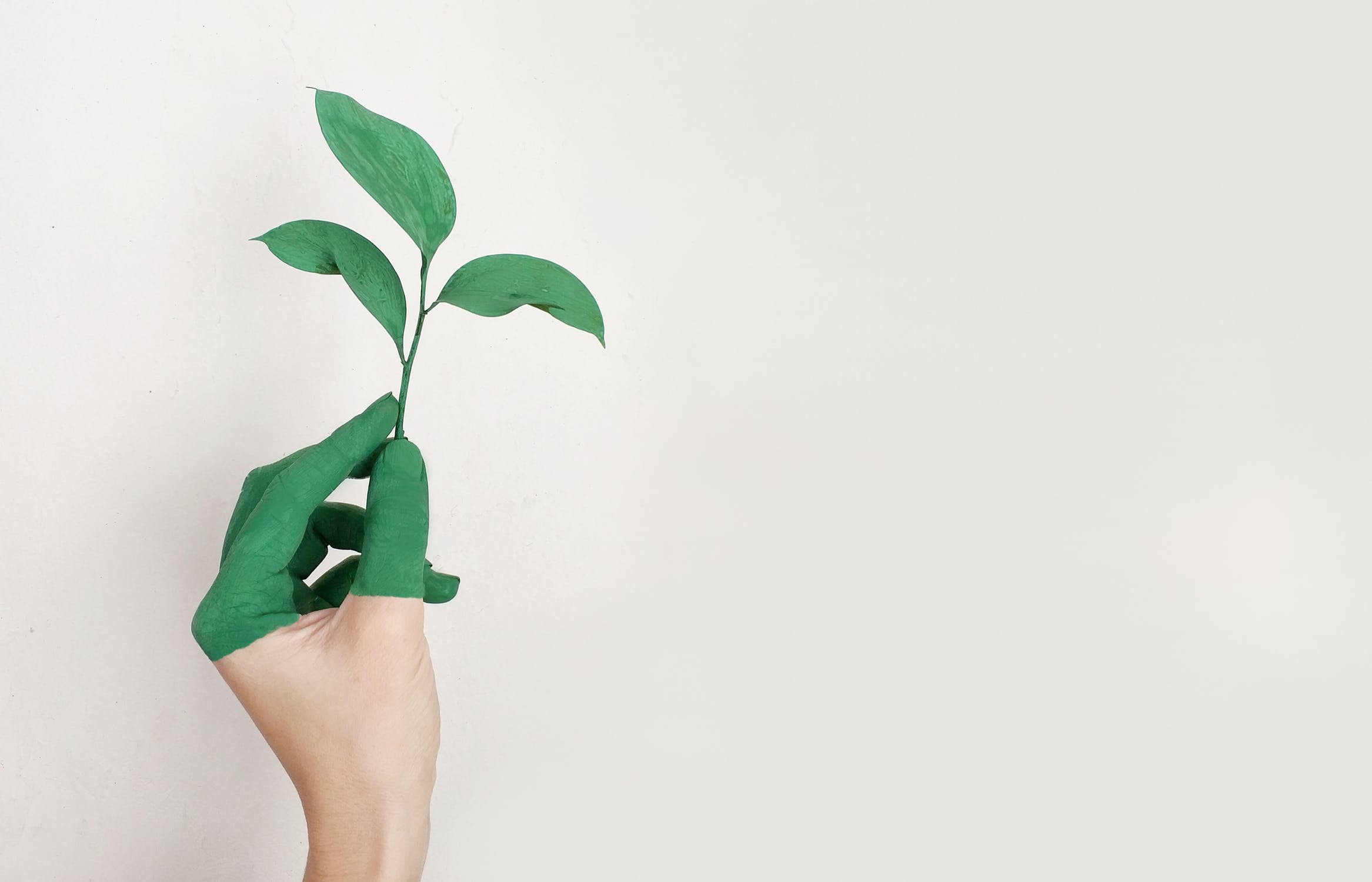 A hand partially painted in green holds a small plant with several leaves against a plain, light background, symbolizing the themes highlighted in Apple's recent Environmental Responsibility Report.