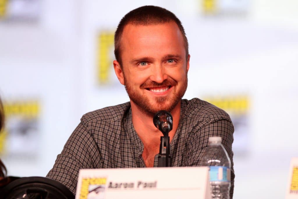 Aaron Paul