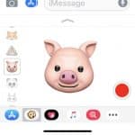 A screenshot of an iMessage screen in the iOS 12.2 beta showing an animated pig animoji with a smiling expression. The interface displays several other Animoji characters on the left and various app icons at the bottom. There is a red recording button on the right side of the screen.