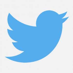 A blue bird silhouette with its beak open, facing to the right, against a plain white background. This is the Twitter logo, known for connecting users through tweets and Direct Messages.