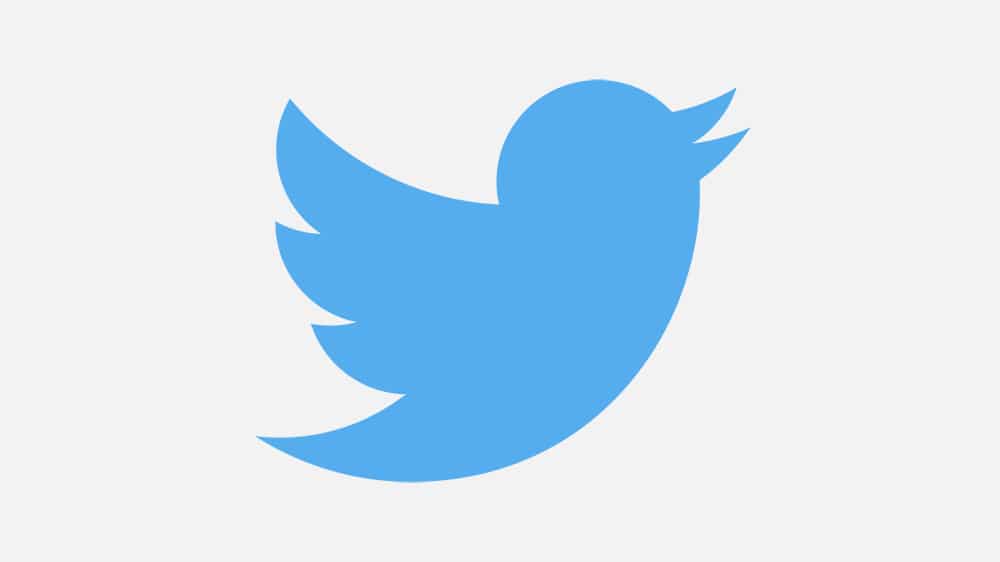 A blue bird silhouette with its beak open, facing to the right, against a plain white background. This is the Twitter logo, known for connecting users through tweets and Direct Messages.