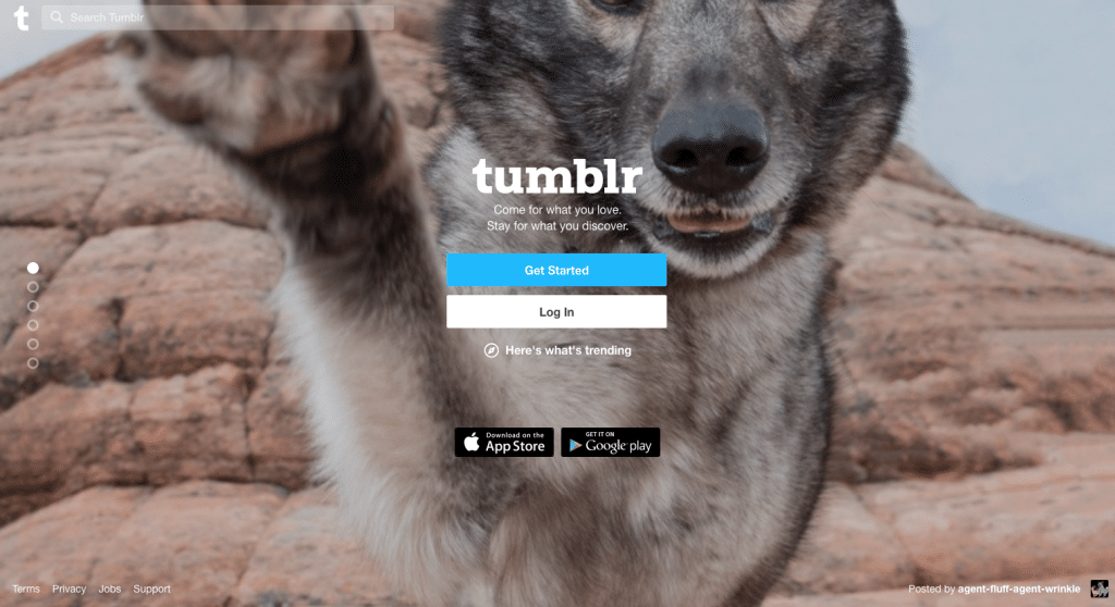 A Tumblr login page displaying a close-up image of a wolf with its paw raised. The login options include "Get Started" and "Log In." Links to download the Tumblr app from the App Store and Google Play are also visible at the bottom of the screen, showcasing Verizon's latest features post-sell off.