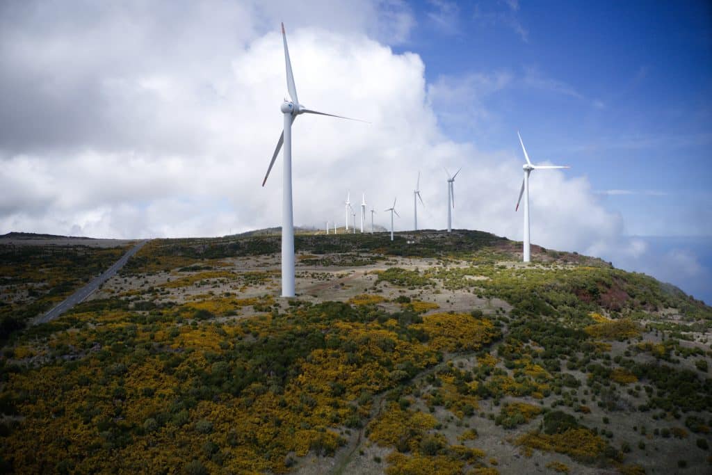 Multiple wind turbines stand tall on a hill covered with green vegetation and yellow shrubs under a partly cloudy sky. The turbines, spaced at varying distances, capture green energy in a serene landscape, symbolizing the potential of investing in sustainable futures.