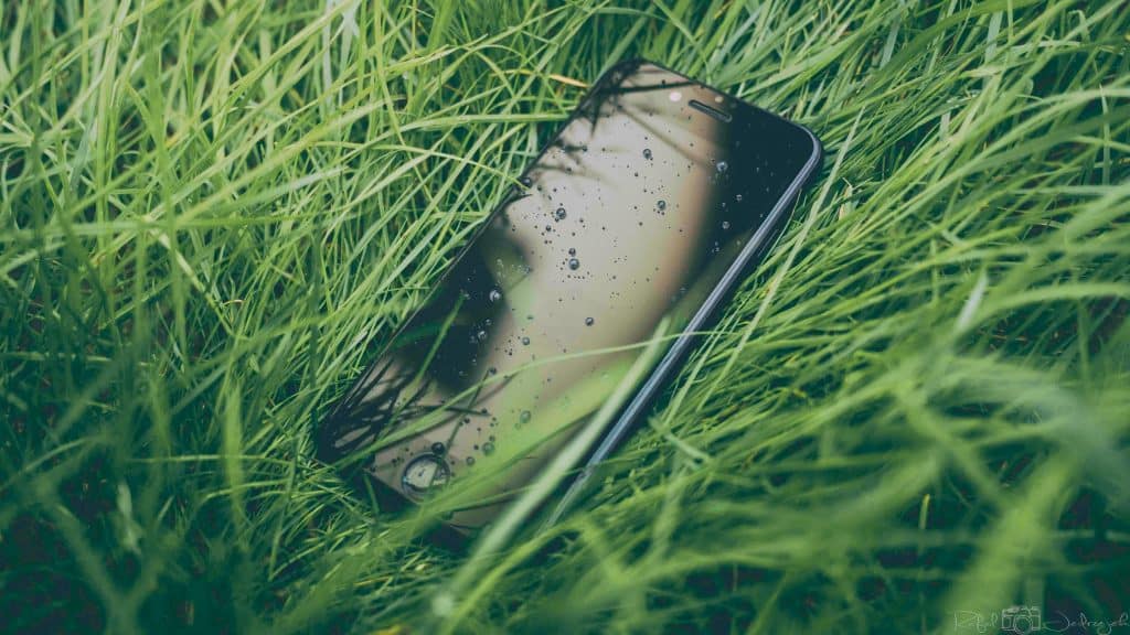 An Apple smartphone lies face-up in the middle of lush green grass. The screen, speckled with droplets of water, reflects the surrounding grass blades. The scene suggests it was recently raining or the phone was spilled on, embodying Apple's vision for greener products in harmony with nature.