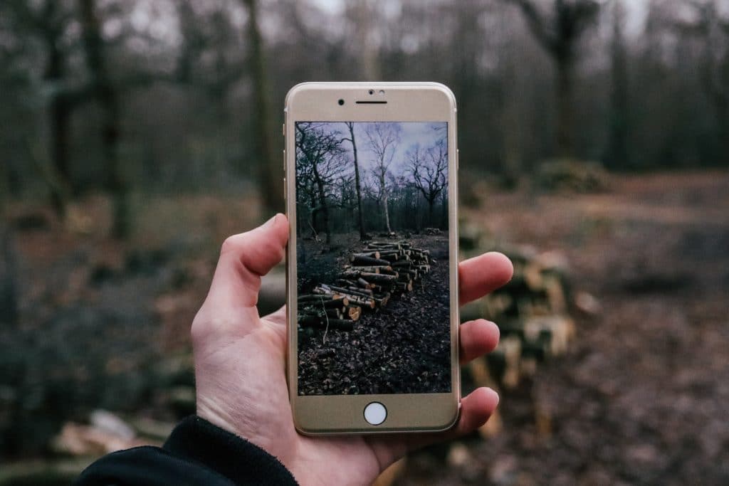 A hand holds an iPhone SE 2, capturing an image of a stack of logs in a forest. The background mirrors the scene on the phone’s screen, with trees and fallen leaves scattered on the forest floor. It is an overcast day.