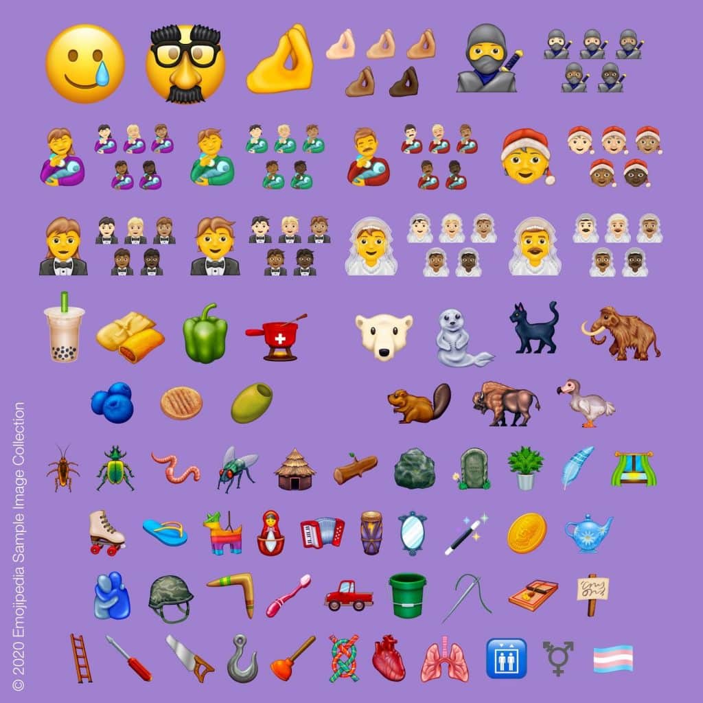 A grid of diverse emojis on a purple background. It includes a variety of faces, people, food items, animals, plants, insects, and miscellaneous objects ranging from books and tools to sports equipment, flags, and magical icons. These new emojis introduced in 2020 showcase the latest Unicode additions.