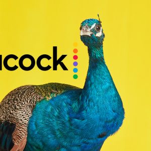 peacock applemagazine