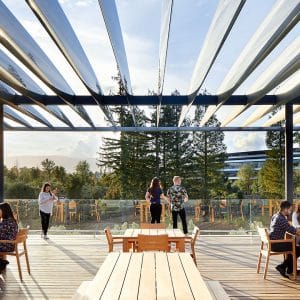 Outdoor seating area with wooden tables and chairs under a modern pergola structure with an open slatted roof. Office-based employees are engaged in conversation or working on laptops, enjoying the sunlight streaming through the slats. Tall trees and a building are visible in the distance.