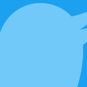 A light blue bird silhouette on a darker blue background. The bird, facing right, is depicted with a round body, pointed beak, and wing extended back, forming a stylized logo that instantly evokes thoughts of Twitter verification and what it means to get verified on the platform.