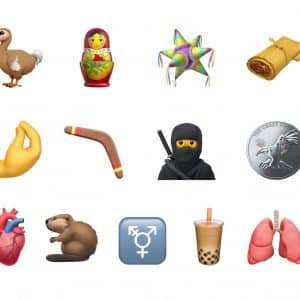 A collection of new emojis introduced in the iOS 14.2 update includes a dodo bird, Russian nesting doll, piñata, tamale, pinched fingers hand gesture, boomerang, ninja, coin, anatomical heart, beaver, transgender symbol, bubble tea and lungs.