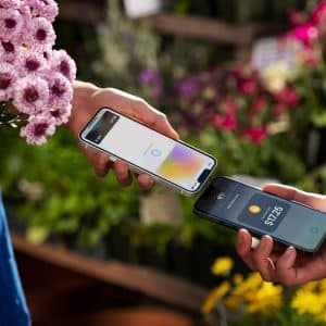 Apple_Apple_Pay_Transaction | NFC Chip in iOS 18.1
