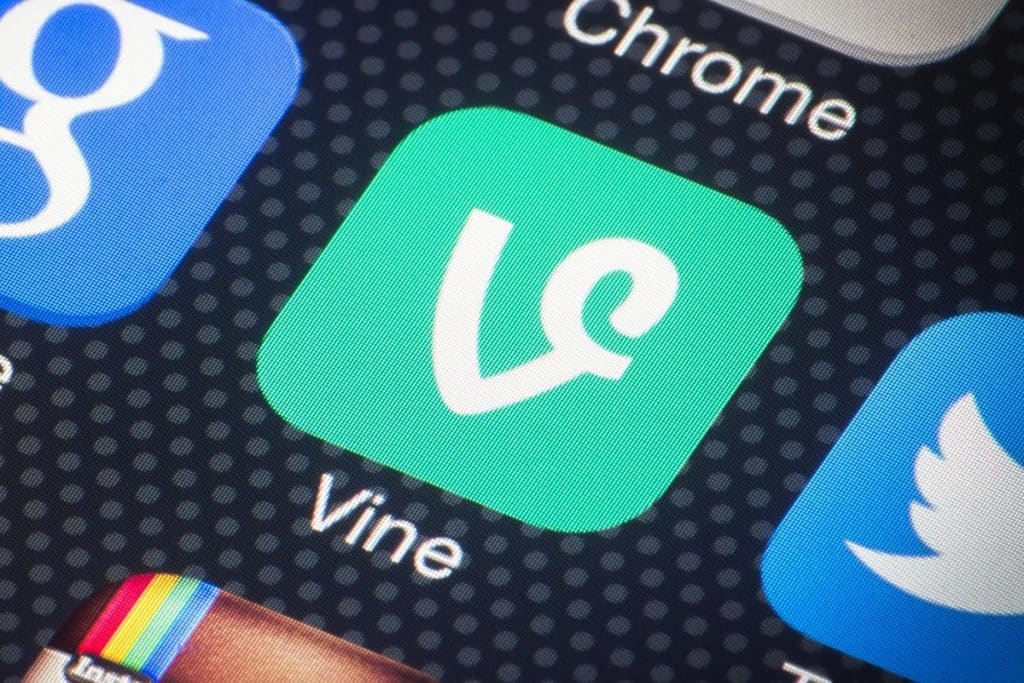 vine-app