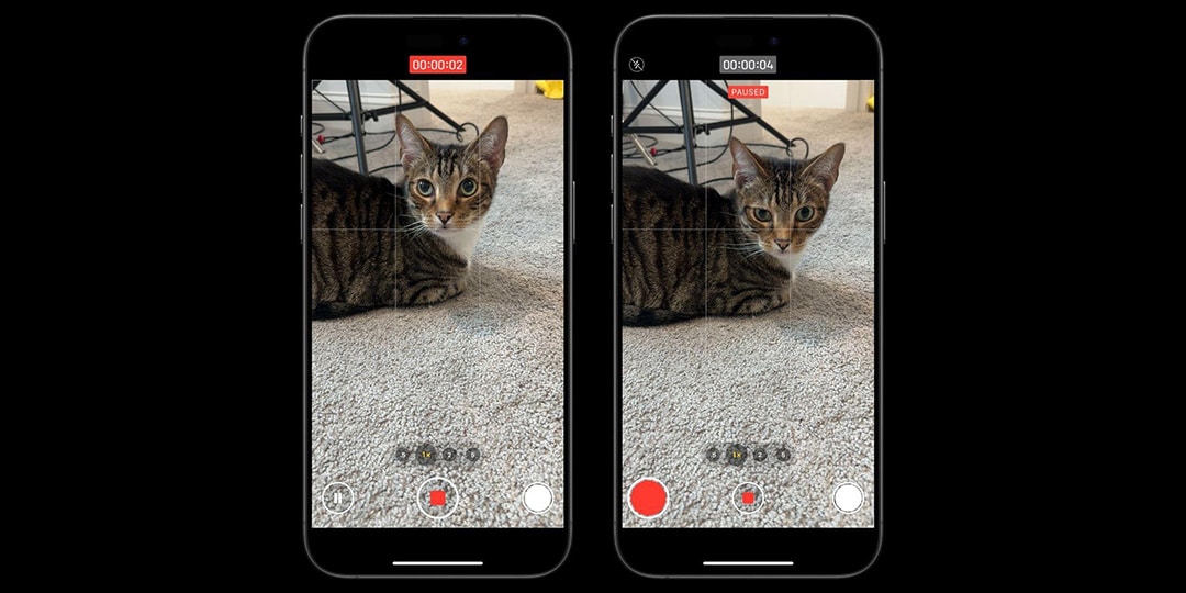 Two side-by-side smartphone screens display a video recording interface, both capturing a brown tabby cat lying on a grey carpet. The left screen shows a pause video recording feature with the timer at 00:02:02, while the right screen shows the recording paused at 00:04.