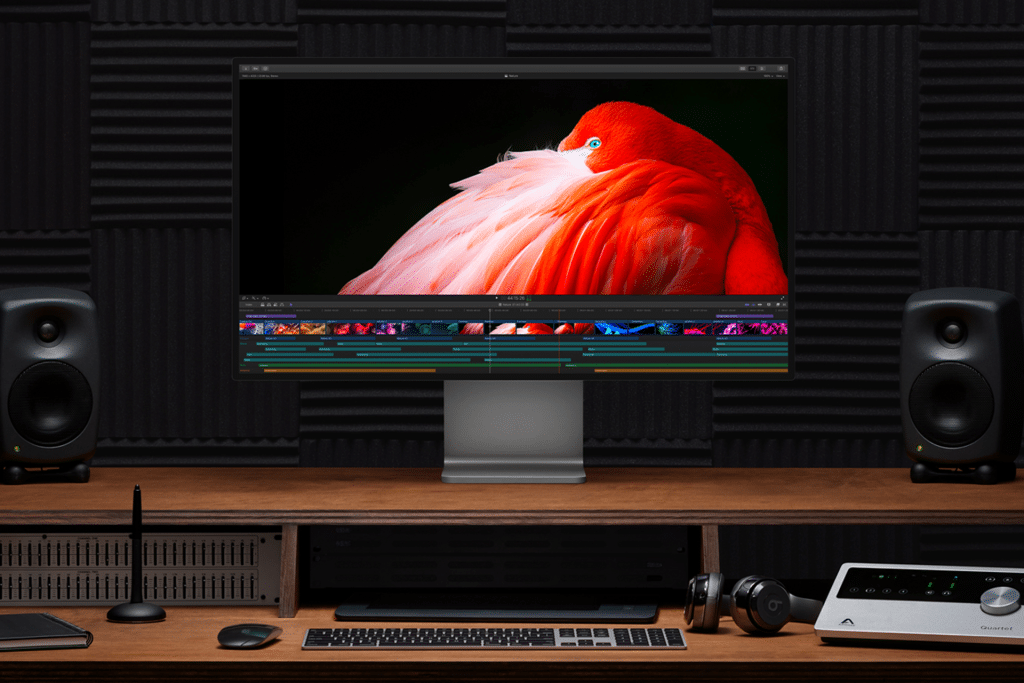 A professional editing workstation featuring a Pro Display XDR 2 with a vibrant image of a red and pink bird. The desk is equipped with a keyboard, mouse, headphones, a digital drawing tablet, two speakers, and soundproofing panels on the wall.