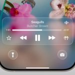 Close-up of a smartphone screen with Liquid Glass Design, showing music playback controls for "Seagulls" by Butcher Brown. Flashlight and camera icons appear at the bottom, set against a floral wallpaper, running on iOS 26.