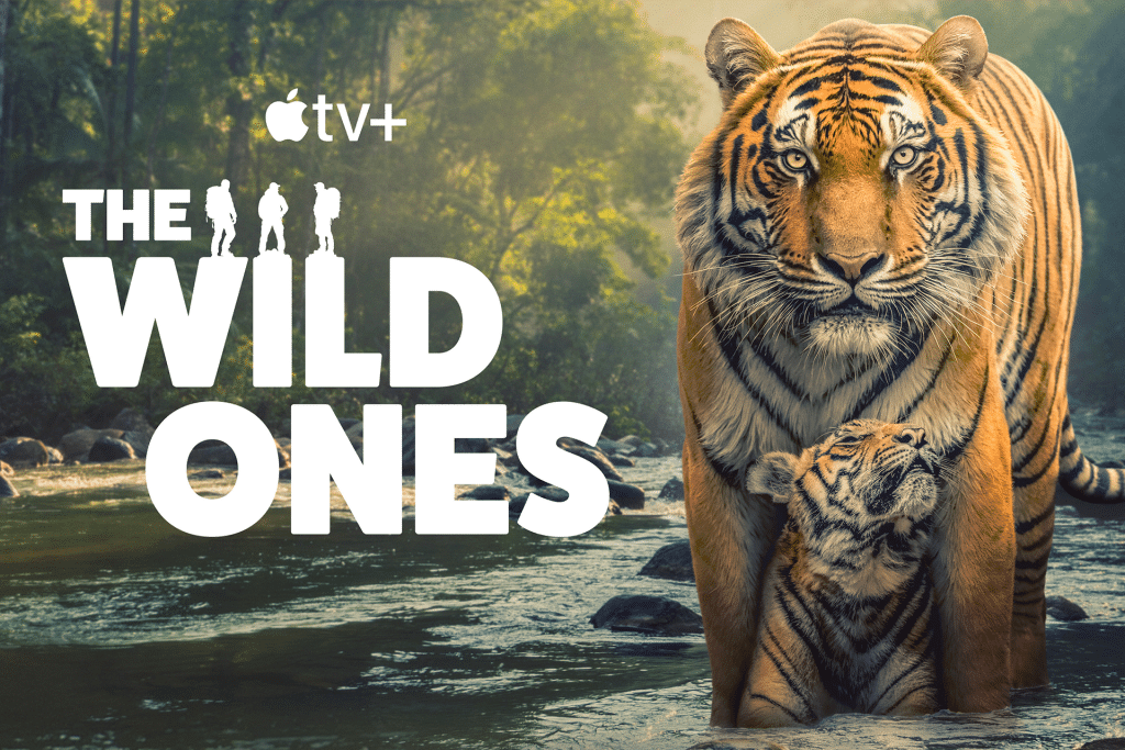 A tiger and its cub stand in a shallow river with green forest in the background. The text reads "Apple TV+ The Wild Ones," with silhouettes of people above the words, capturing the untamed spirit of The Wild Ones.
