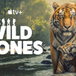 A tiger and its cub stand in a shallow river with green forest in the background. The text reads "Apple TV+ The Wild Ones," with silhouettes of people above the words, capturing the untamed spirit of The Wild Ones.