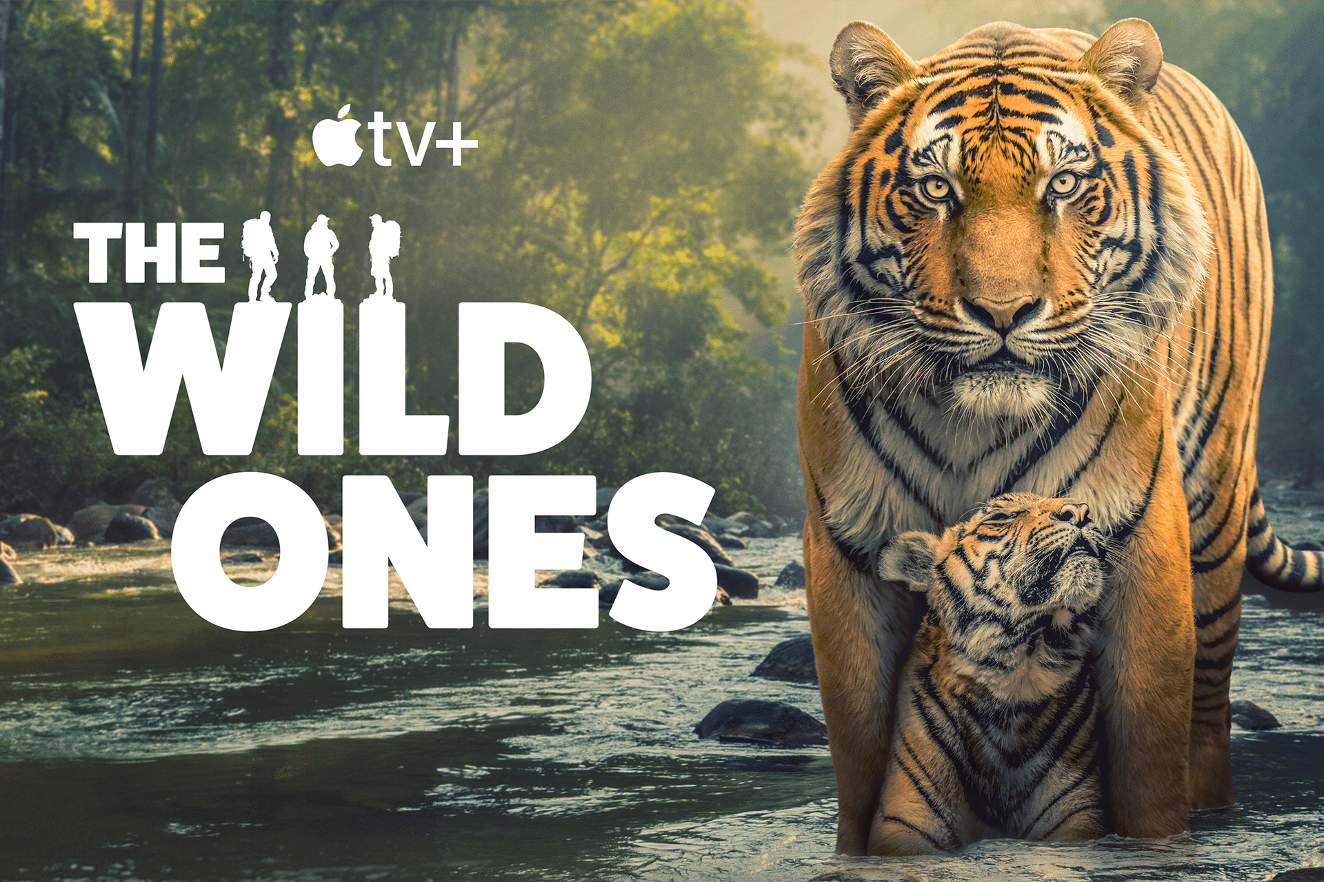 A tiger and its cub stand in a shallow river with green forest in the background. The text reads "Apple TV+ The Wild Ones," with silhouettes of people above the words, capturing the untamed spirit of The Wild Ones.