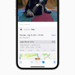 A smartphone screen displays a Visual Look Up information panel showing a puppy lying on a colorful rug, with camera details such as date, device (iPhone 12 Pro), resolution, and settings visible below the image.