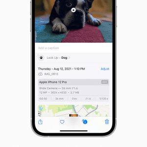 A smartphone screen displays a Visual Look Up information panel showing a puppy lying on a colorful rug, with camera details such as date, device (iPhone 12 Pro), resolution, and settings visible below the image.