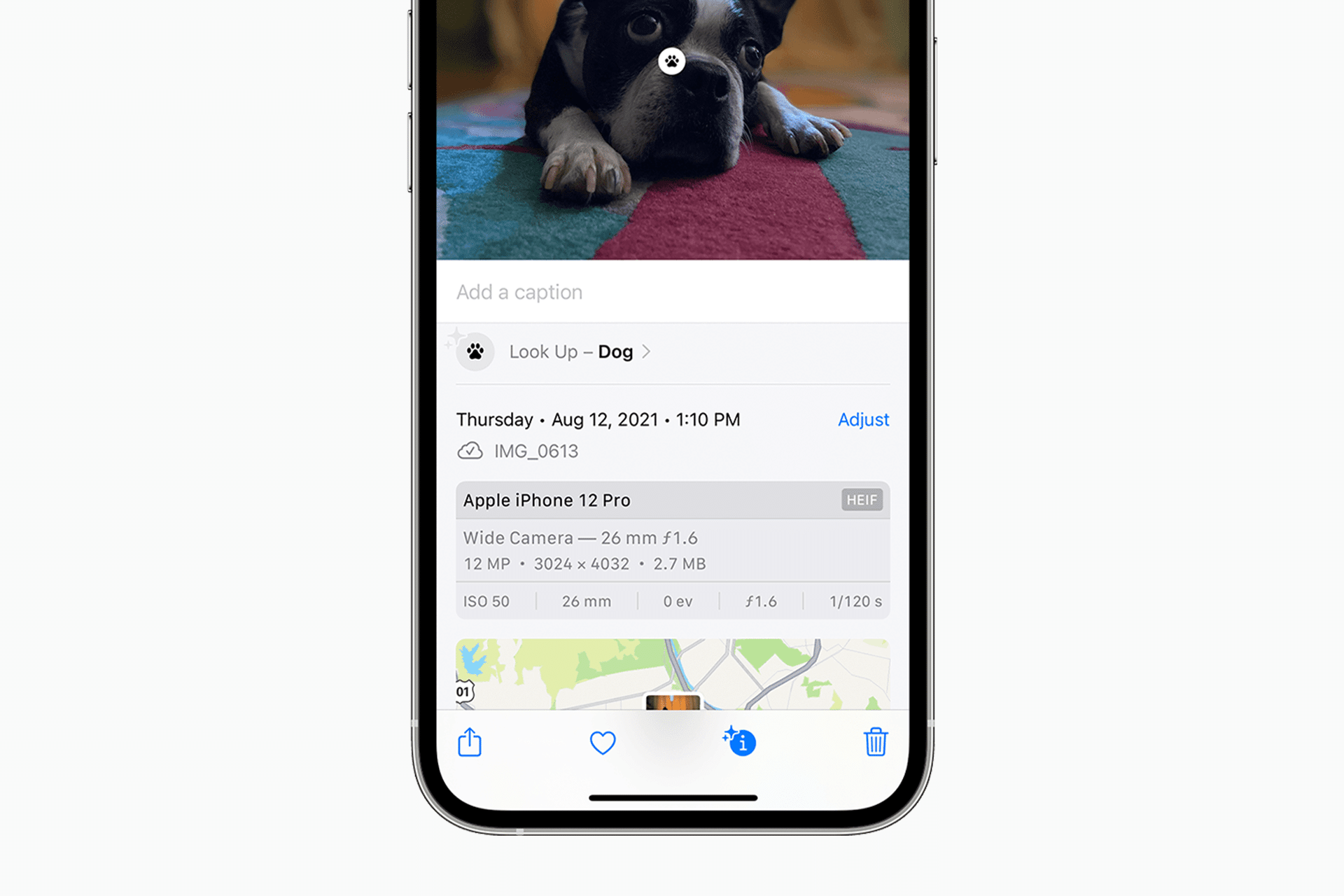 A smartphone screen displays a Visual Look Up information panel showing a puppy lying on a colorful rug, with camera details such as date, device (iPhone 12 Pro), resolution, and settings visible below the image.
