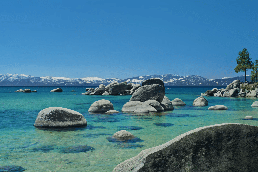 Large smooth rocks rest in the clear blue-green waters of a lake, framed by snow-capped mountains and a bright sky. A towering pine stands near the shore—an inviting scene featured in the Tahoe Day Aerial Screen Saver for macOS.