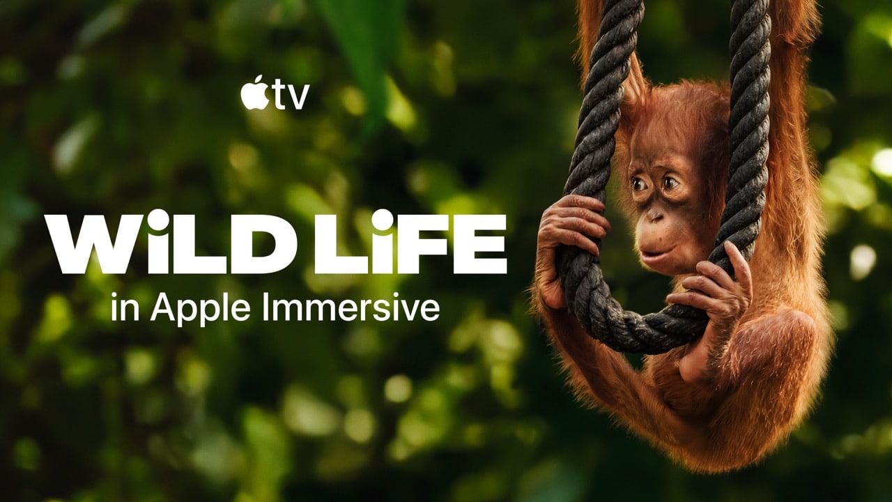 A young orangutan hangs from a thick vine with both hands, surrounded by lush green foliage. Text on the left reads: "Apple TV. WILD LIFE in spatial storytelling Vision Pro.