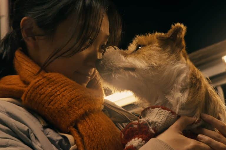 A woman in an orange scarf and gray coat smiles as a small brown and white dog touches noses with her, both illuminated by warm light—capturing a cozy, affectionate moment shot on iPhone.
