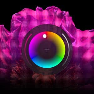 A large, bright pink flower with a pixelated texture is in the background. In the foreground, a circular color wheel resembling a camera lens—hinting at Apple vs Adobe's creative rivalry—is centered and overlaps the flower. The background is black.