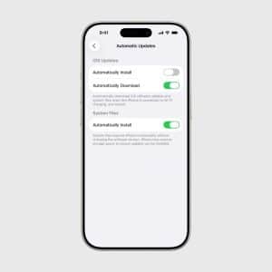 An iPhone screen displays the "Automatic Updates" settings. Options for "Automatically Install" and "Automatically Download" are shown, with toggles enabled—ideal if your iPhone won’t update and you want to ensure updates are downloaded and installed automatically.