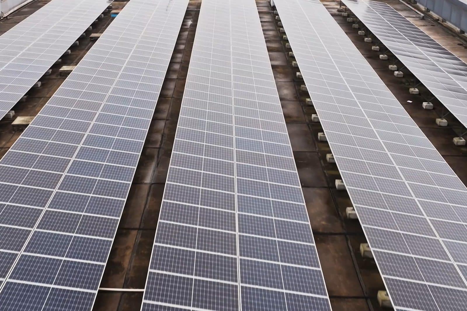 Rows of solar panels installed on a flat rooftop, capturing sunlight for renewable energy generation and reflecting Apple's sustainability commitment. The panels are arranged neatly in parallel lines, covering most of the surface.
