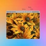 A computer window using Mac Quick Preview displays a photo of yellow and orange flowers with dark centers. Editing options like Markup, Rotate, and Share appear against a colorful gradient background with an Apple logo.