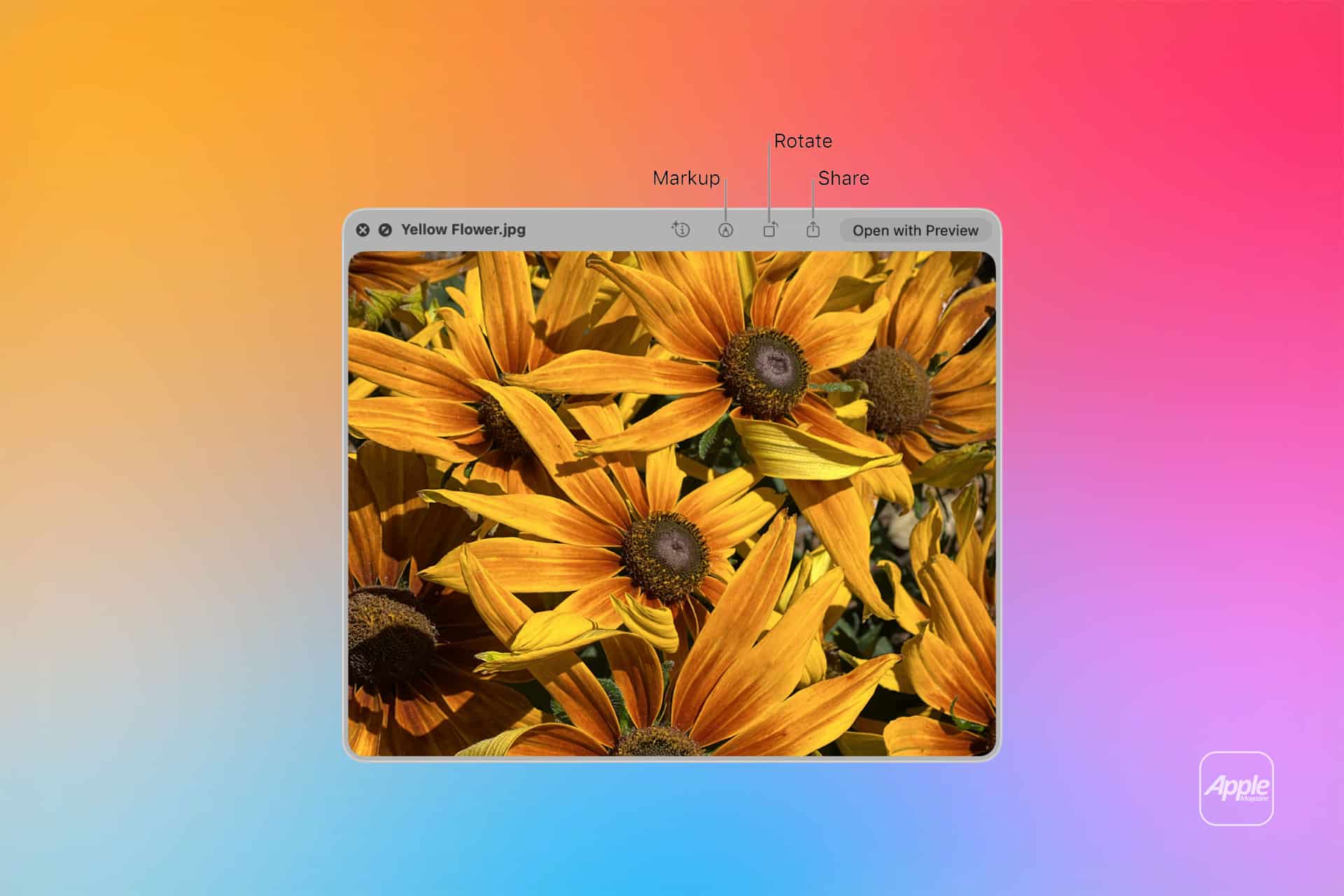A computer window using Mac Quick Preview displays a photo of yellow and orange flowers with dark centers. Editing options like Markup, Rotate, and Share appear against a colorful gradient background with an Apple logo.