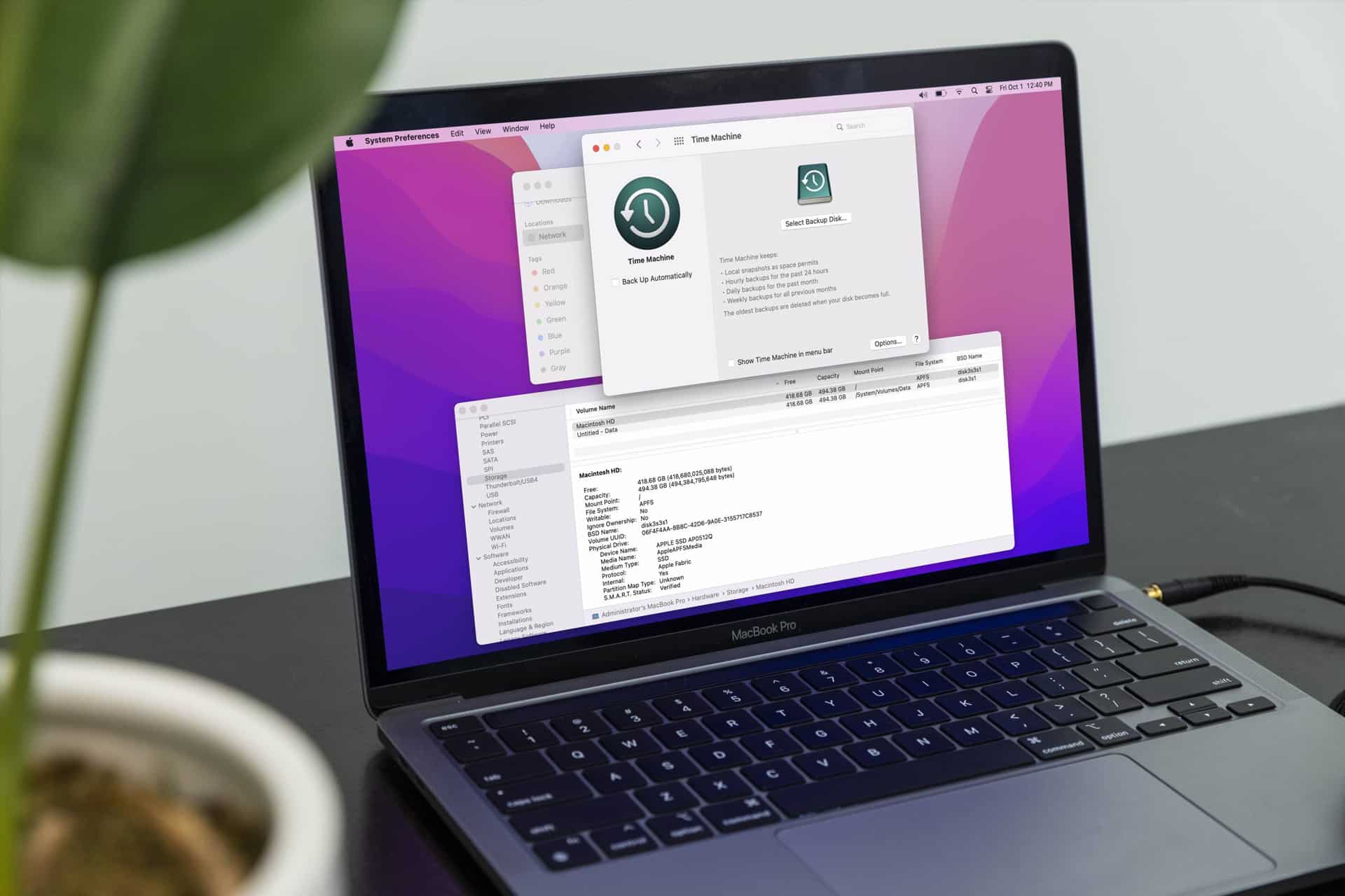 A MacBook Pro on a black table displays the Mac backup Time Machine settings on its screen, with a plant partially visible in the foreground on the left.