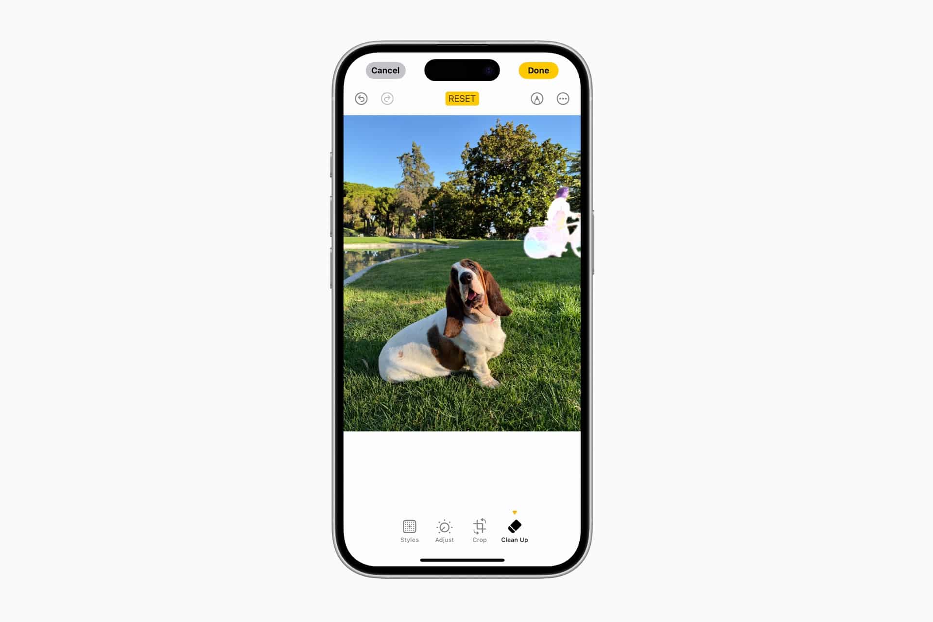 A smartphone screen shows an iPhone photo editing app open, featuring a basset hound lying on grass in a park with trees behind. Photo editing tools are visible at the top and bottom of the display.