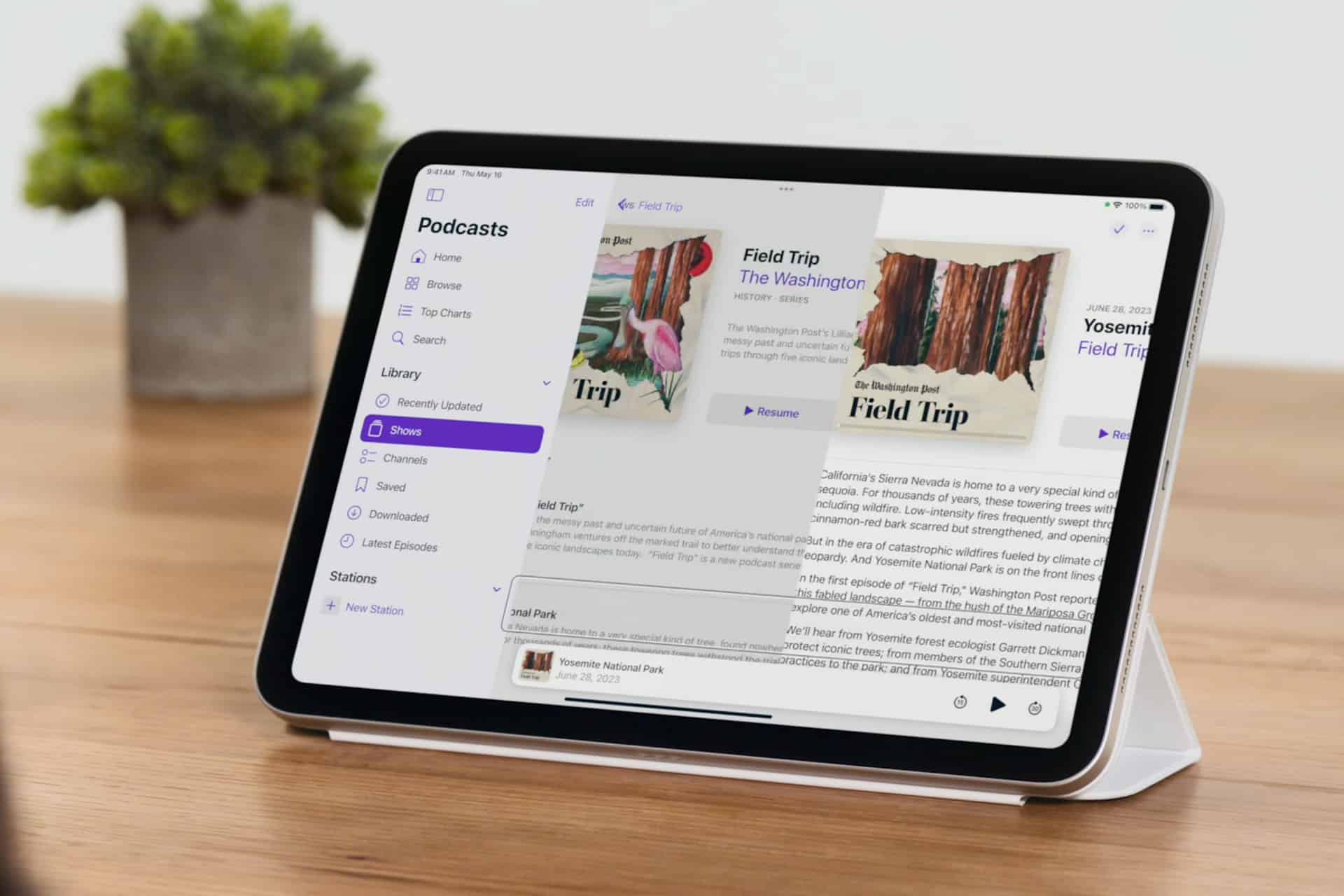 A tablet on a stand displays a podcast app with the “Field Trip” episode highlighted. The device, featuring iPhone Eye Tracking integration, sits on a wooden table with a small potted plant in the background.