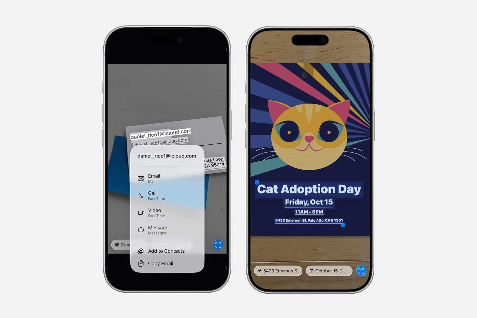 Two smartphones are shown. The left screen features an iPhone scan text function capturing contact info from an email; the right displays a colorful “Cat Adoption Day” poster with a cartoon cat and event details.
