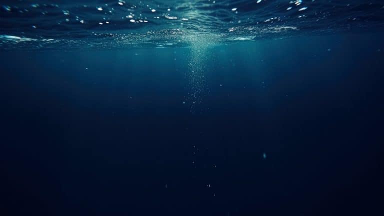 Underwater iPhone photos capture a serene scene as sunlight filters through the water, bubbles rising gently toward the surface in a peaceful, deep blue world.