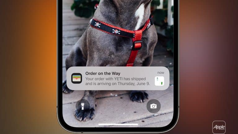 A phone screen displays an Apple Wallet Orders notification about a YETI order shipping, arriving Thursday, June 9. In the background, a dog wearing a red harness with skull patterns is partially visible.