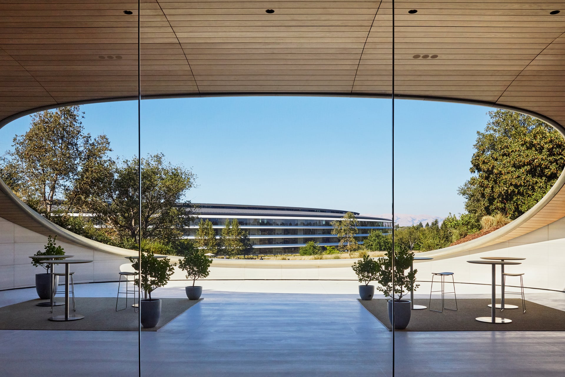 A modern outdoor terrace with potted plants and tables overlooks a futuristic, circular building—reminiscent of Apple Park architecture—surrounded by trees under a clear blue sky.