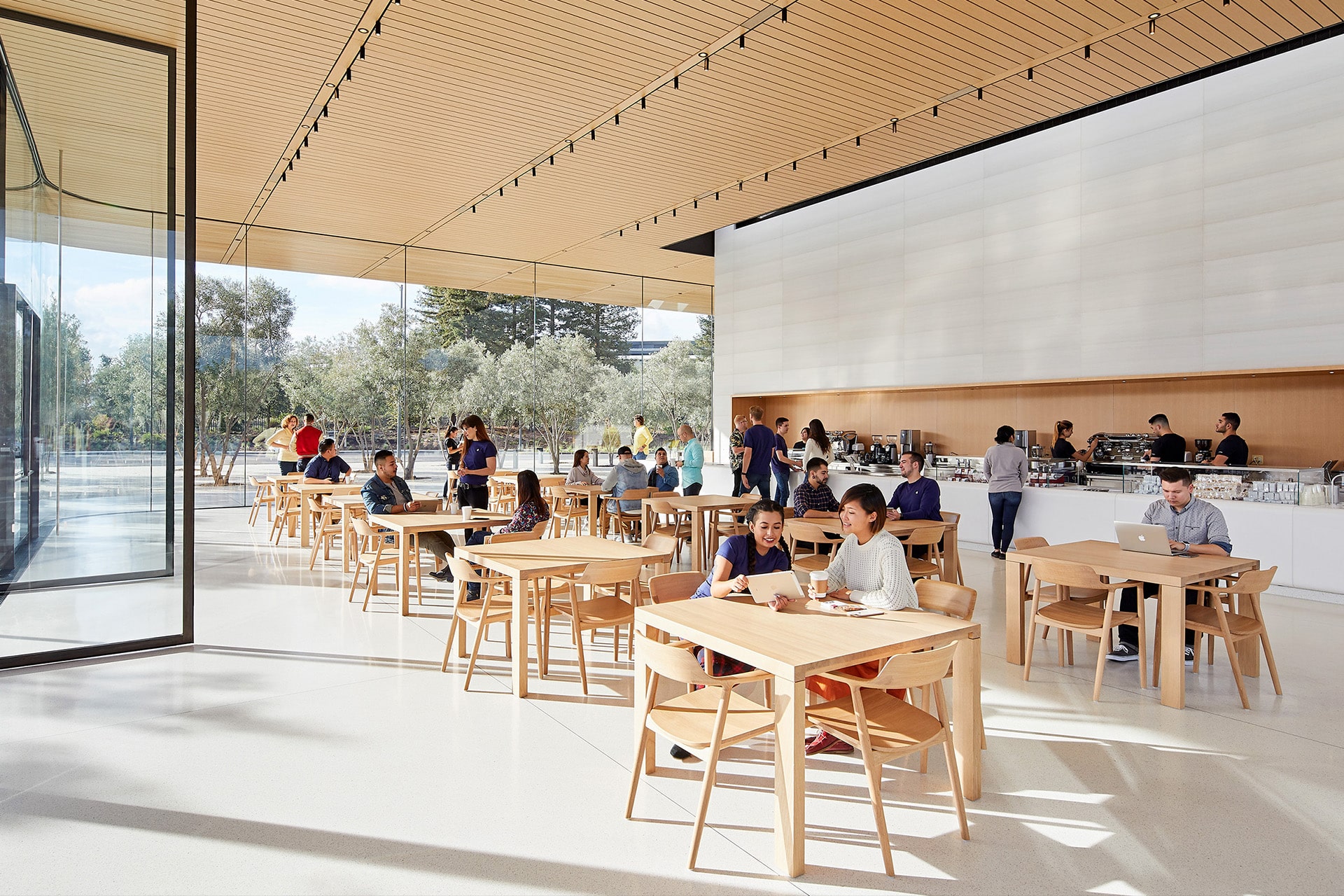 A modern, spacious café near Apple Park in Cupertino with wooden tables and chairs, people sitting and working or talking, and several staff members behind a counter serving food and drinks. Large windows provide natural light and offer beautiful views of trees outside, creating an inviting atmosphere for visitors to relax just moments from the Apple Park Visitor Center.